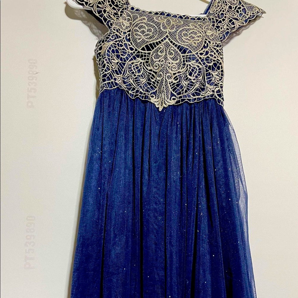 Blue and gold sparkly dress